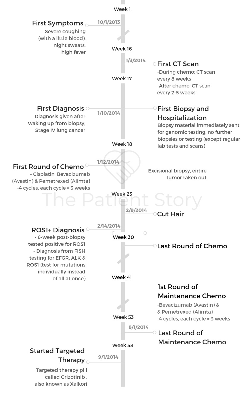 Lisa timeline
