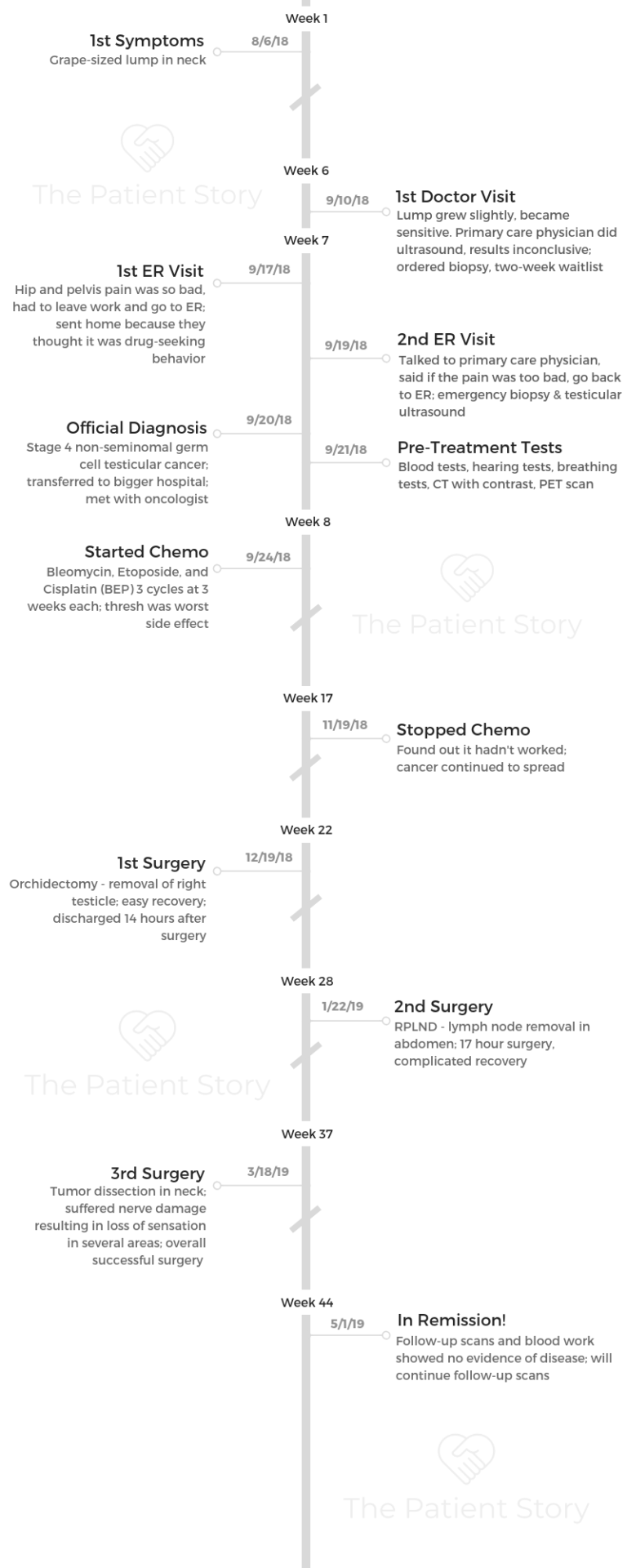 Steve timeline