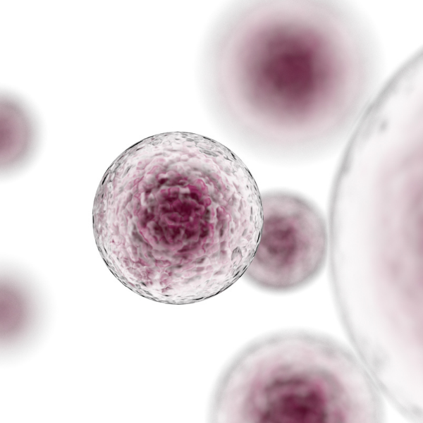 immunotherapy