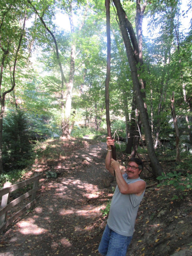 Pete D. 2016 swing