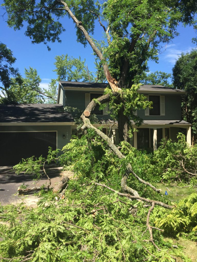 60 feet tree fallen on Steve's house
