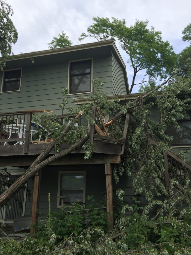 Trees had fallen on Steve's house while he was in hospital